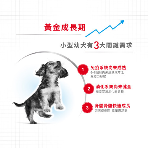 Royal Canin -  Health Nutrition 健康營養系列 Mini Puppy 2KG 小型幼犬營養配方2公斤 (3000020011) [訂貨需時2-3天](原裝行貨)